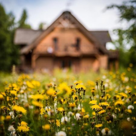 Brzozowy Gaj Bed & Breakfast Glowczyce Luaran gambar