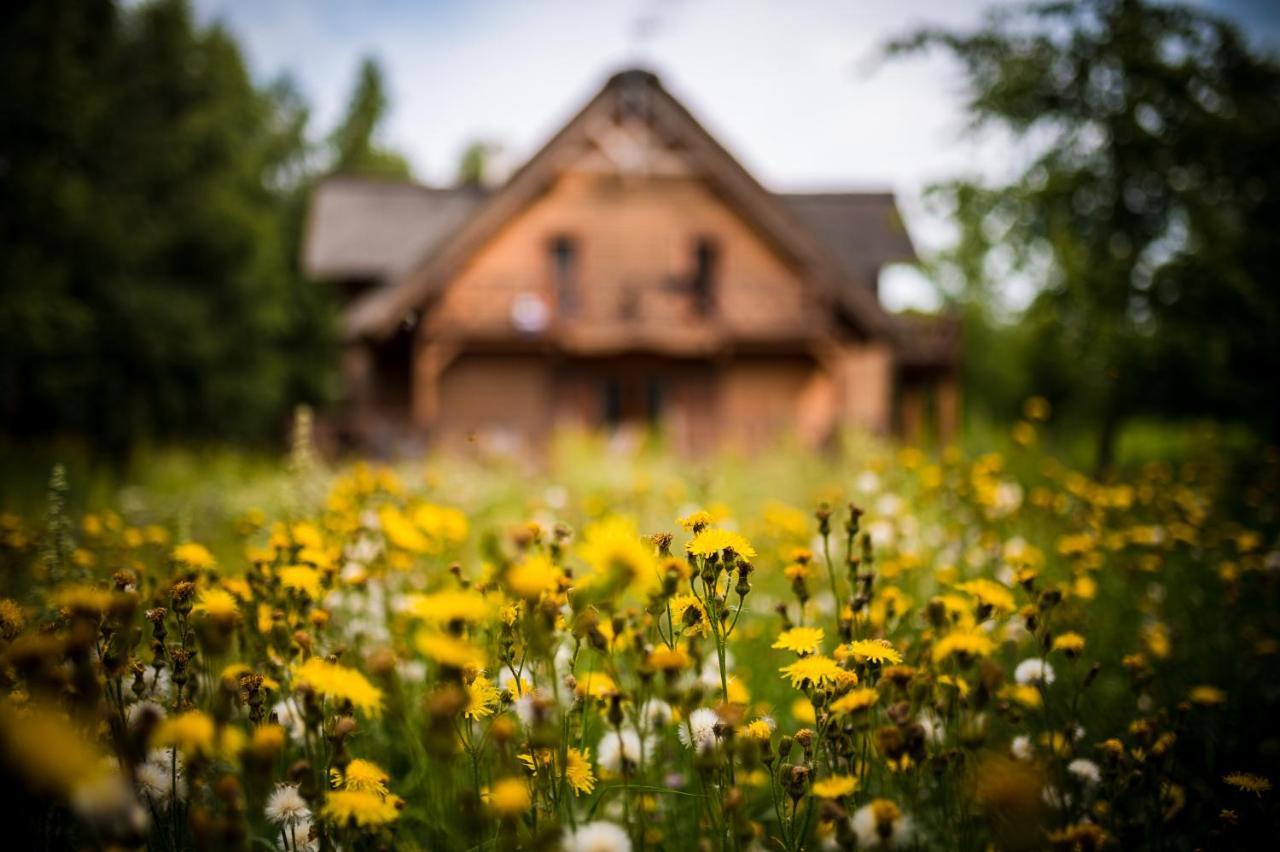 Brzozowy Gaj Bed & Breakfast Glowczyce Luaran gambar