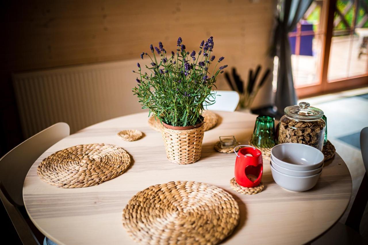Brzozowy Gaj Bed & Breakfast Glowczyce Luaran gambar