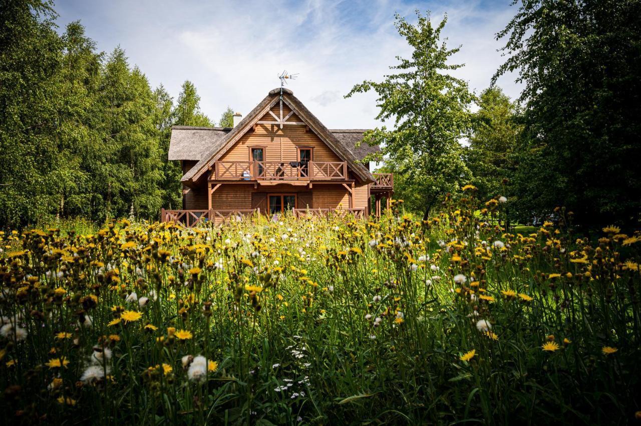 Brzozowy Gaj Bed & Breakfast Glowczyce Luaran gambar
