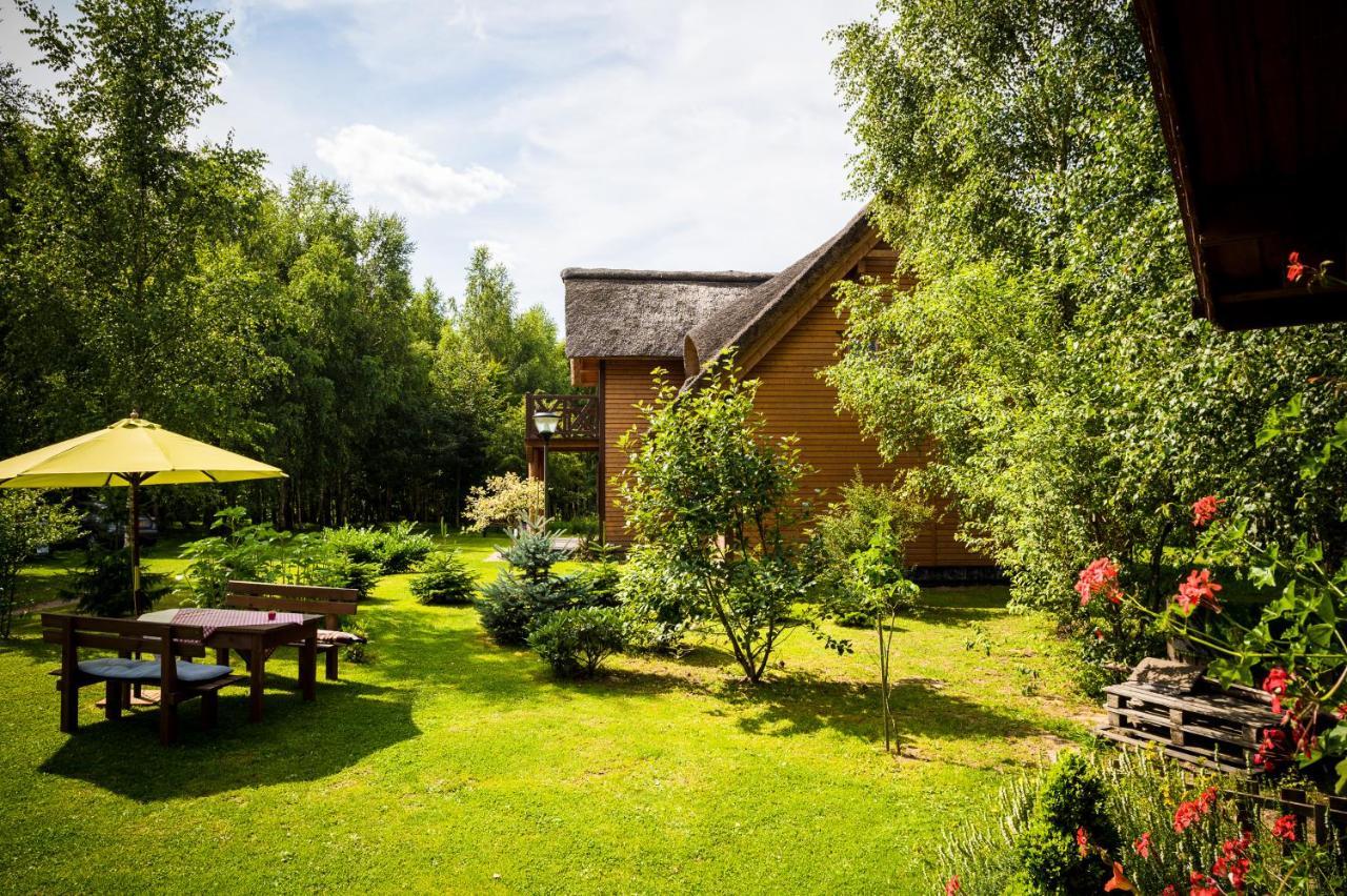 Brzozowy Gaj Bed & Breakfast Glowczyce Luaran gambar