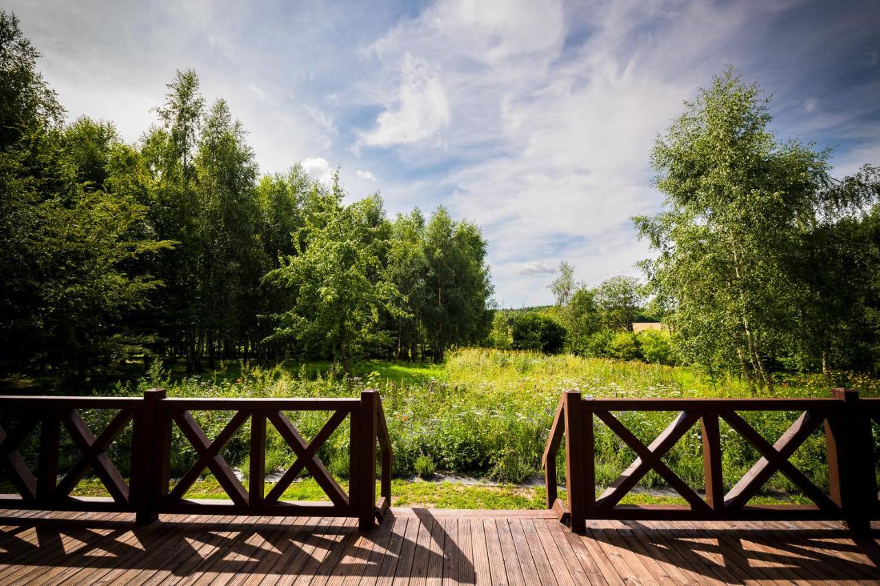 Brzozowy Gaj Bed & Breakfast Glowczyce Luaran gambar