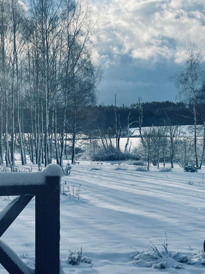 Brzozowy Gaj Bed & Breakfast Glowczyce Luaran gambar
